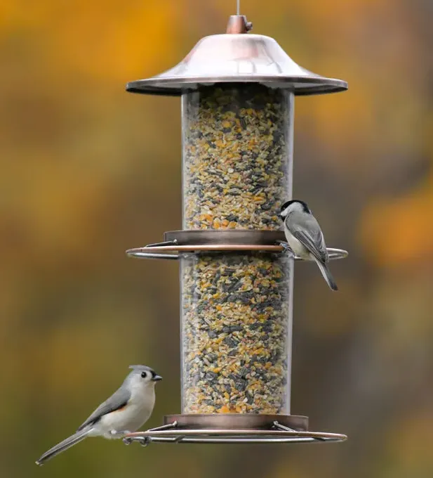 Bird Feeder - Two Tier Copper Panorama